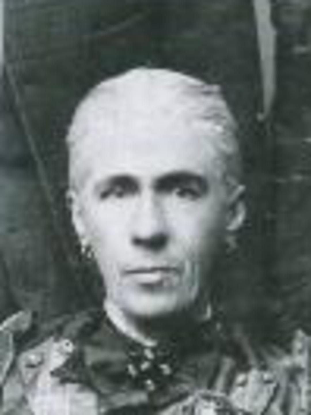 Charlotte Johnson (1835 - 1901) Profile